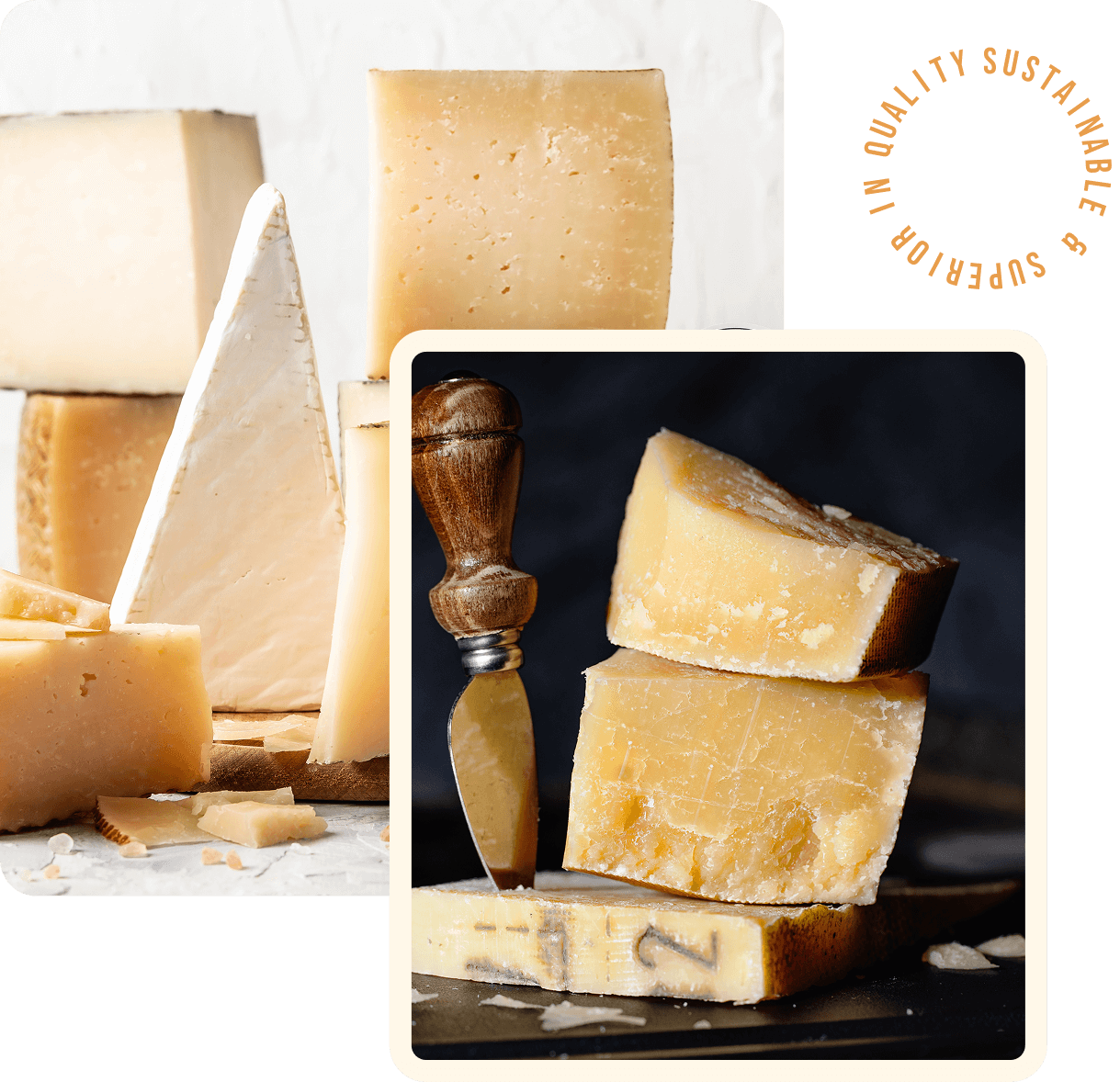 Group 1321317171 Various blocks of cheese on display with a small cheese knife.