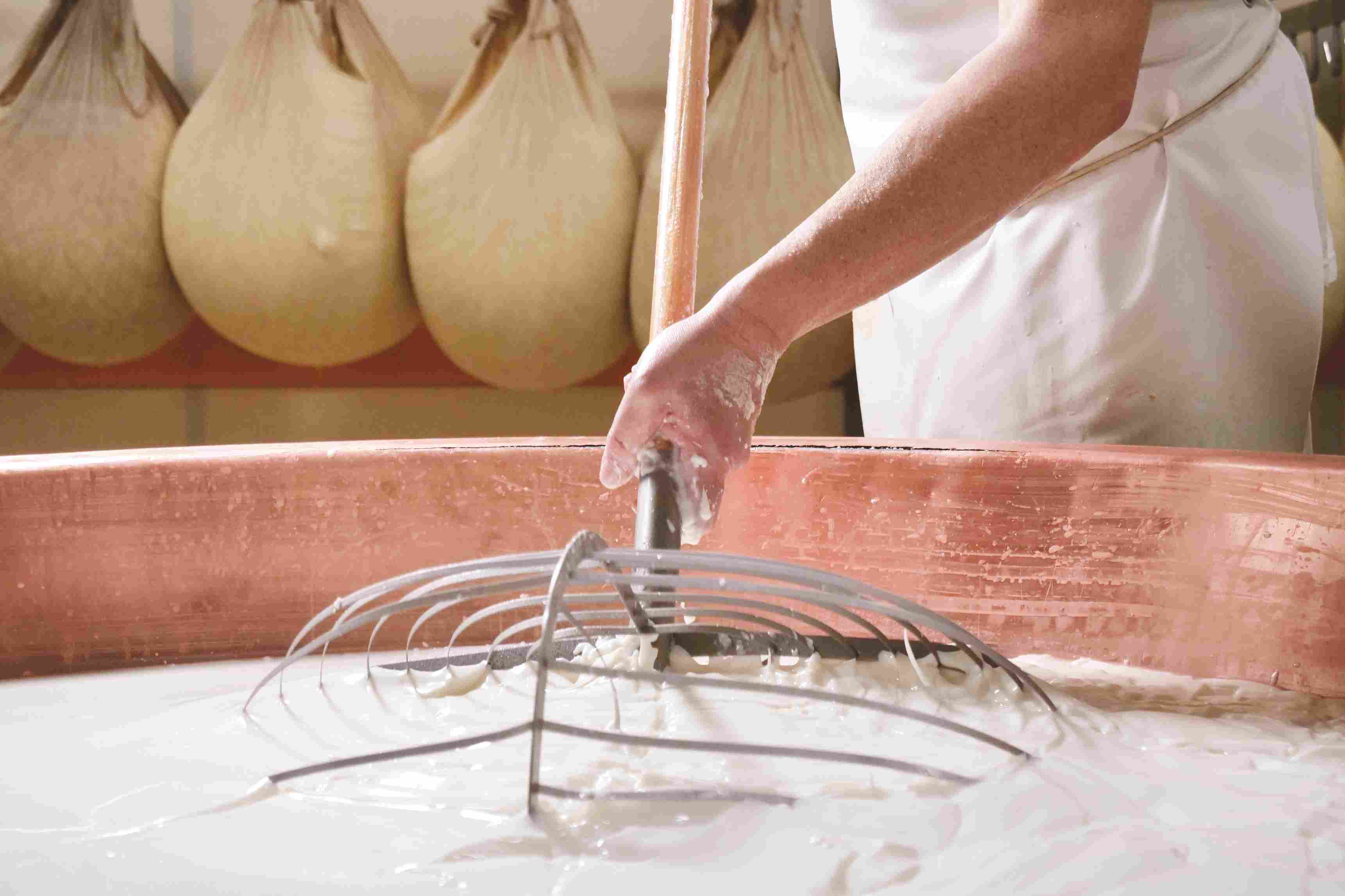 A person stirs curdled milk in a large copper vat with a wire tool, while cheese hangs in cloth bags in the background.